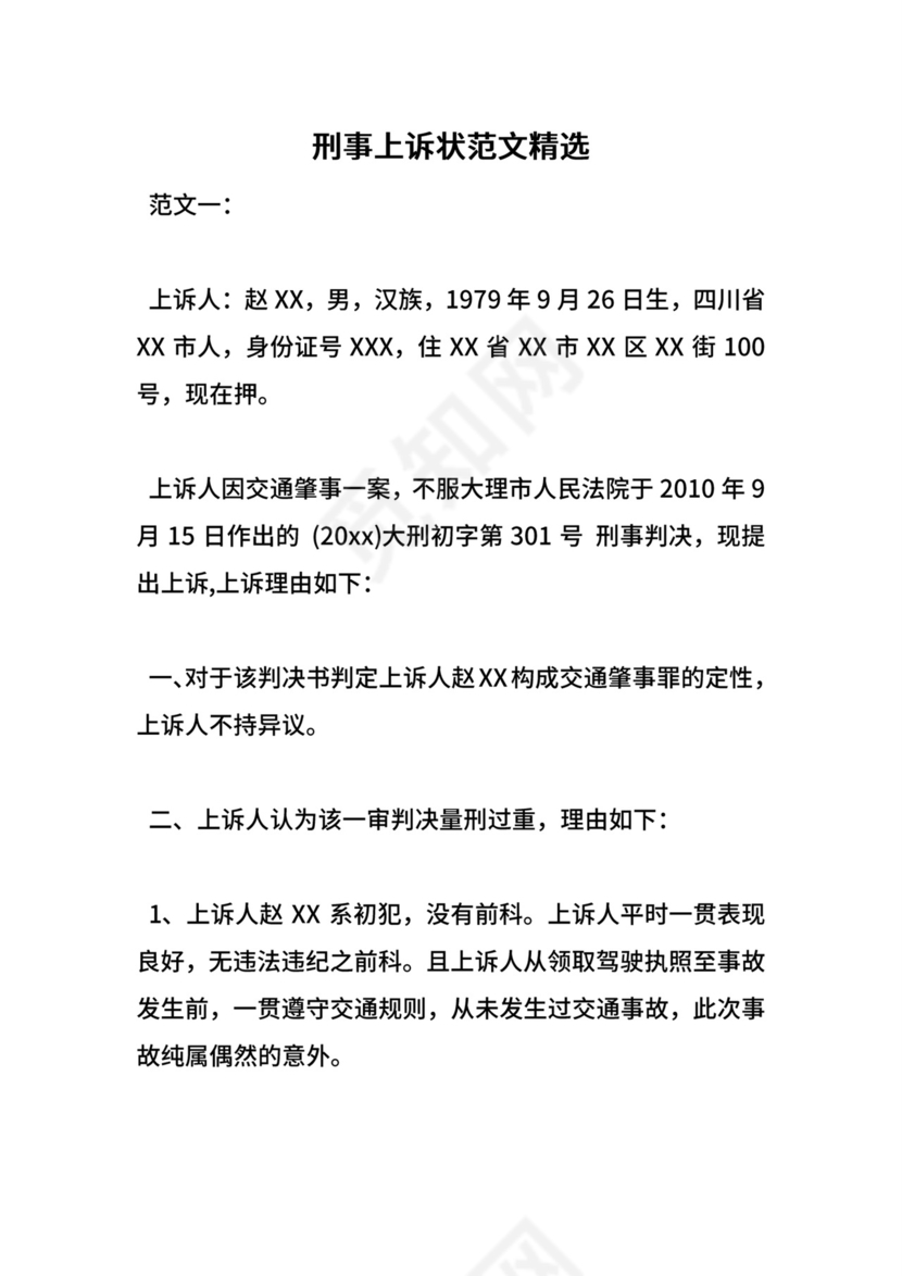 刑事上诉状范文精选.doc