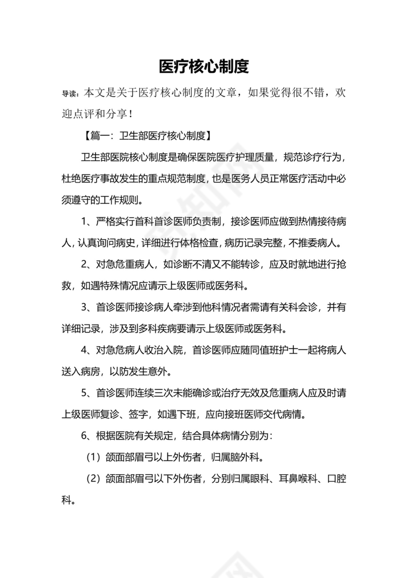 医疗核心制度.docx