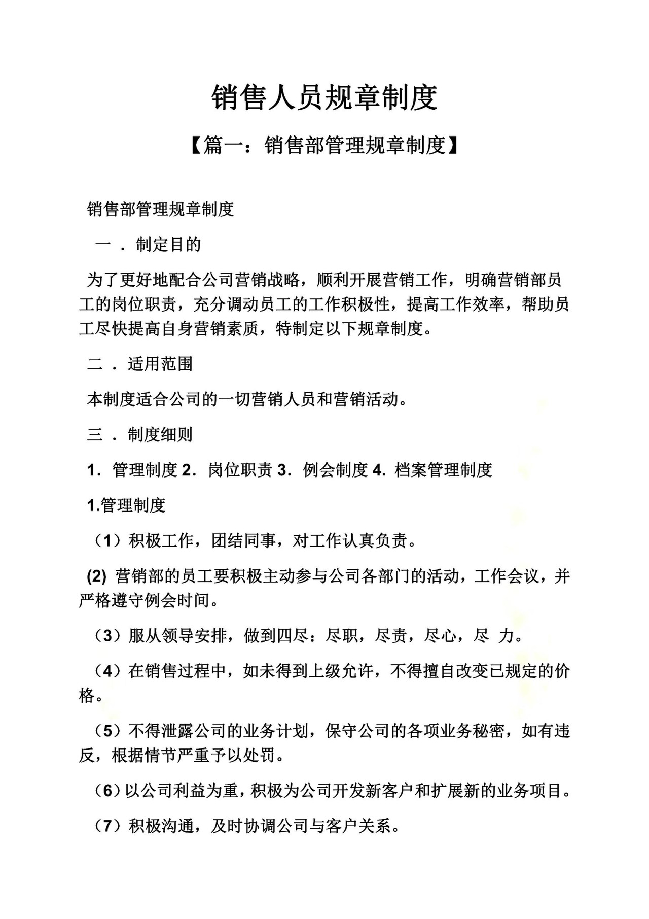 销售人员规章制度.docx