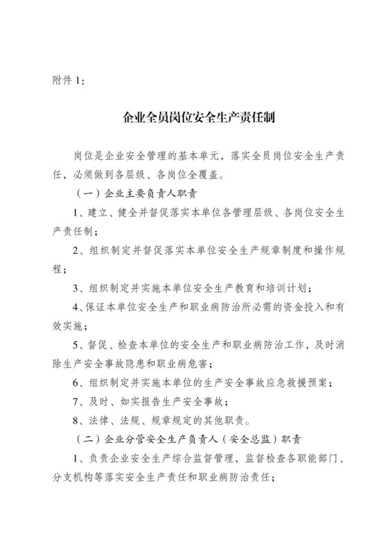 企业全员岗位安全生产责任制.doc