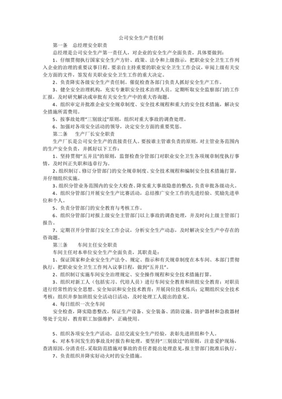 公司安全生产责任制.docx