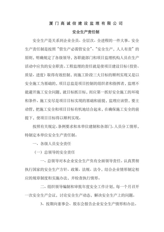 安全生产责任制(公司.docx