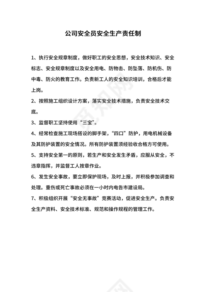 公司安全员安全生产责任制.docx