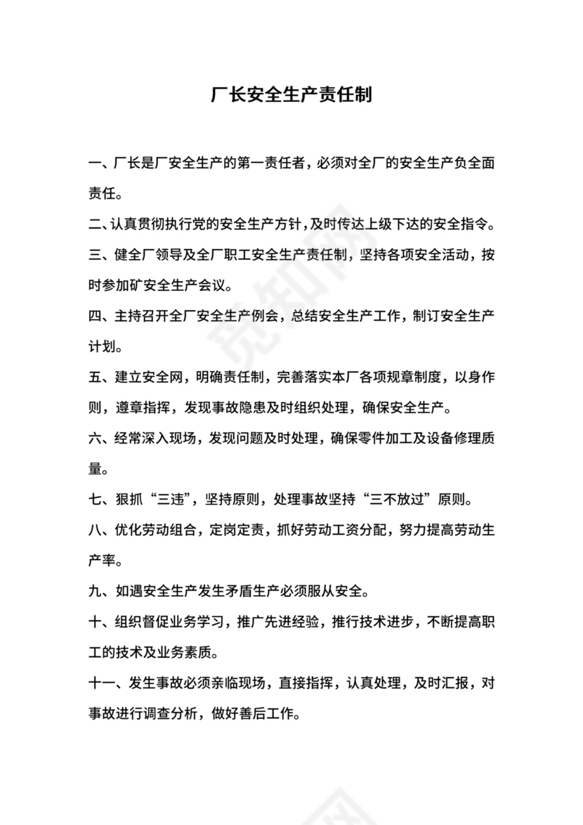 厂长安全生产责任制.docx