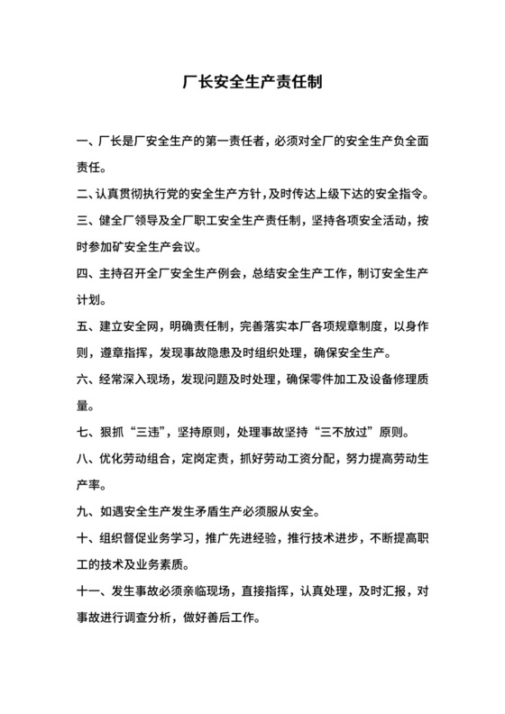 厂长安全生产责任制.docx