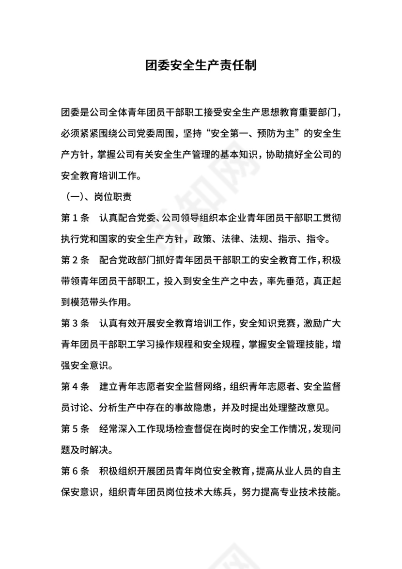 团委安全生产责任制.docx