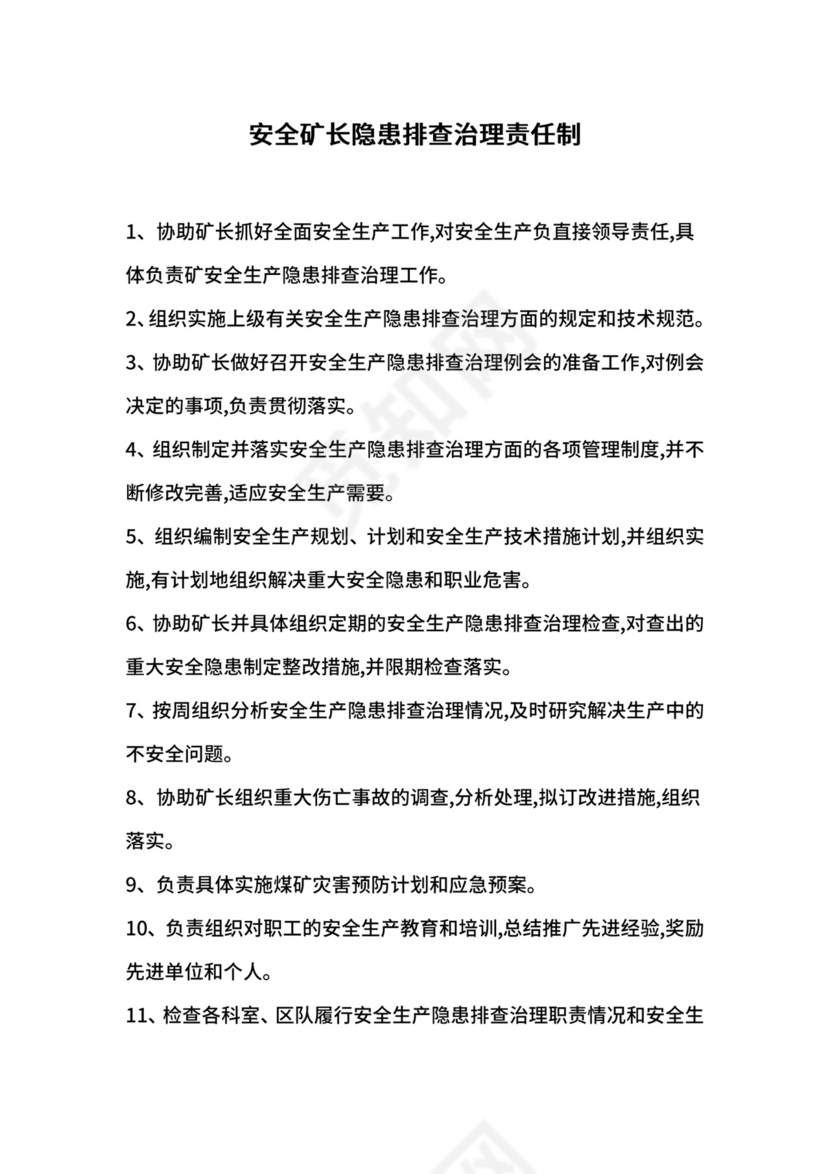 安全矿长隐患排查治理责任制.docx