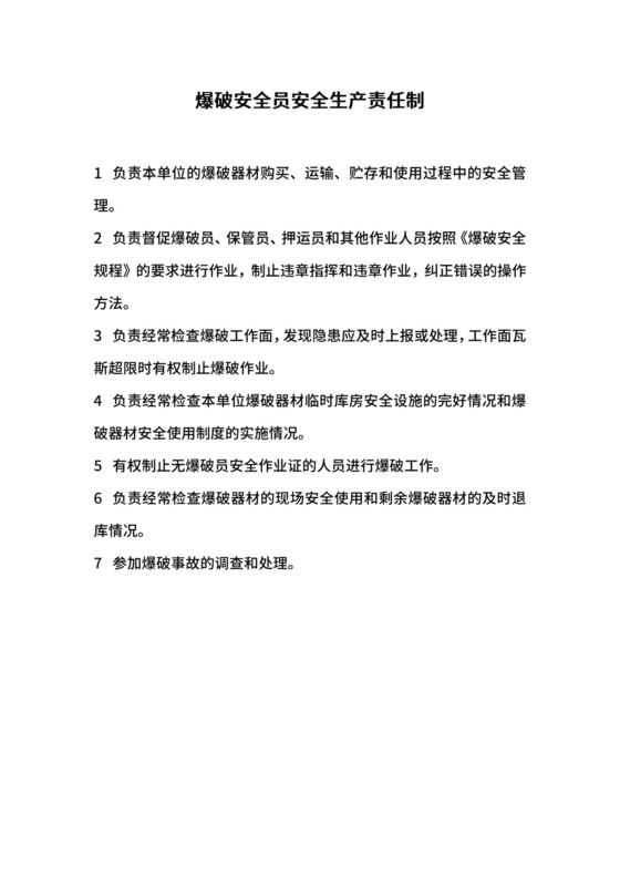 爆破安全员安全生产责任制.docx