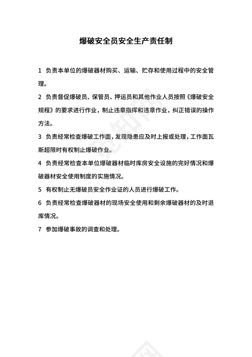 爆破安全员安全生产责任制.docx