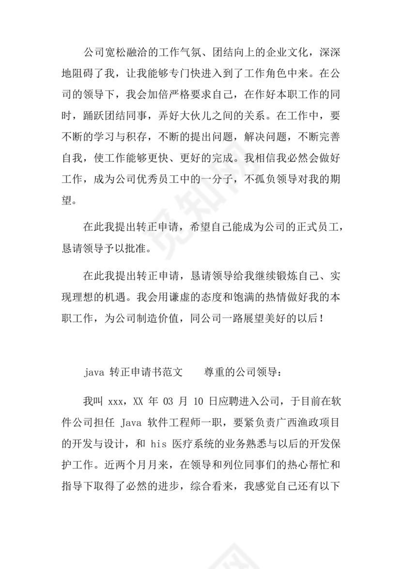大气版java转正申请书.docx