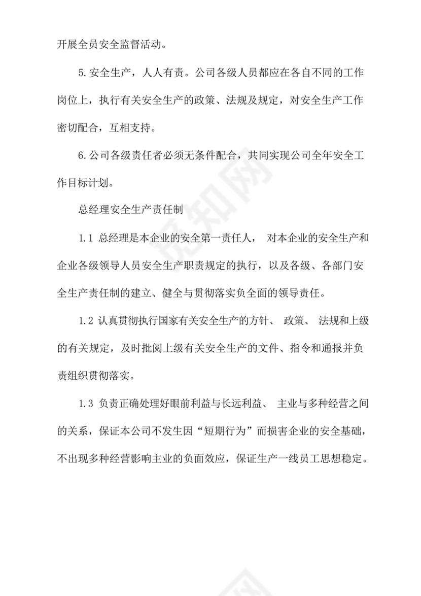 电力工程公司安全生产责任制(新版).docx