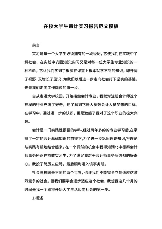 在校大学生审计实习报告范文模板.docx
