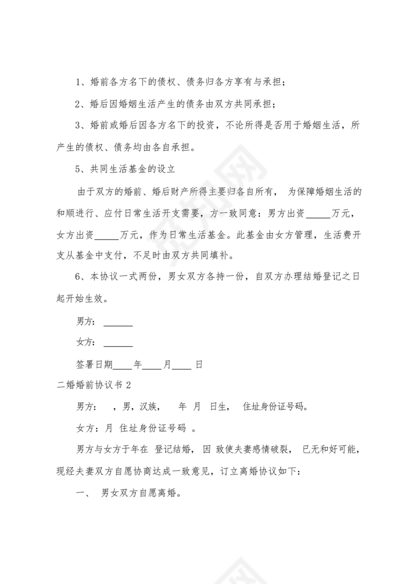 二婚婚前协议书.docx