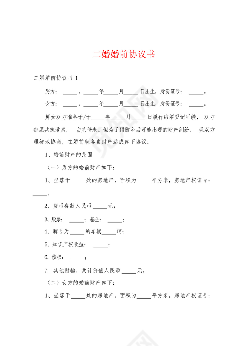 二婚婚前协议书.docx