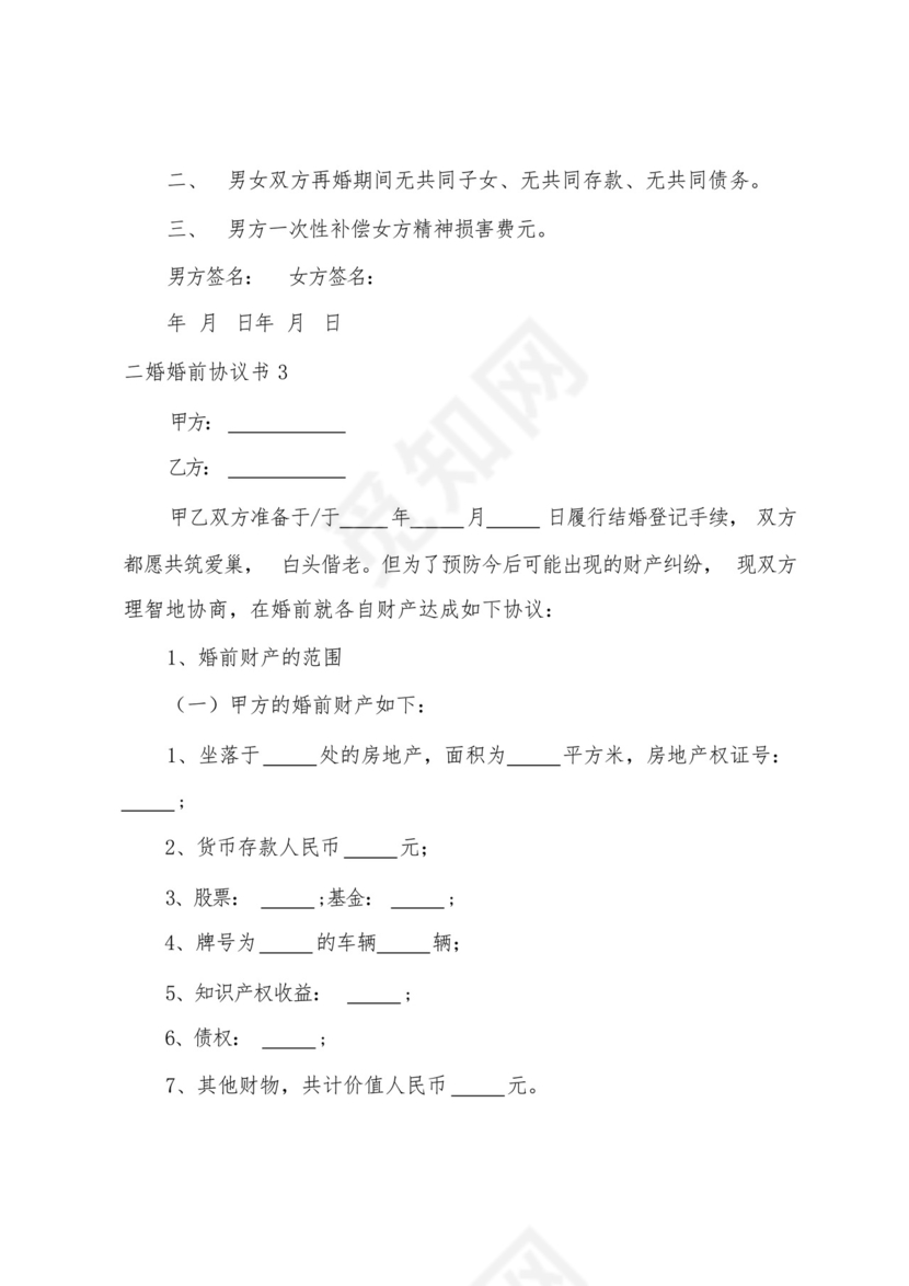 二婚婚前协议书.docx