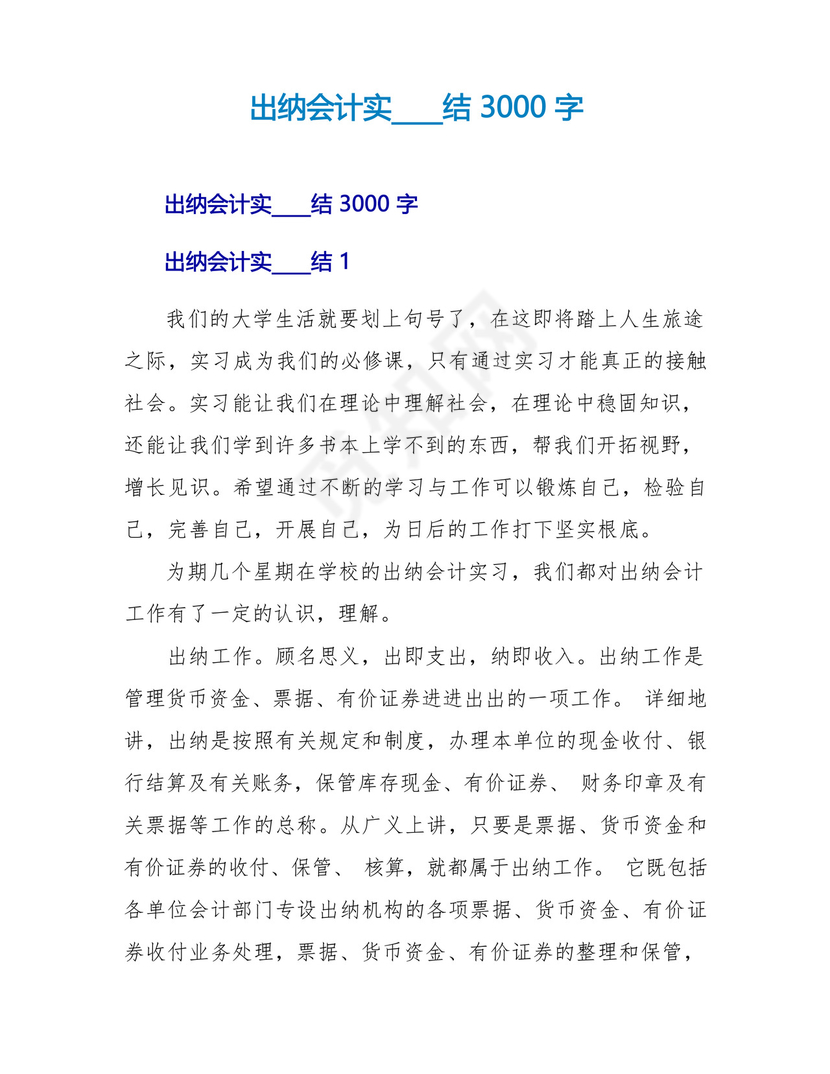 出纳会计实习总结3000字.docx