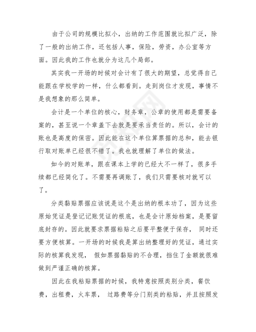 出纳会计实习总结3000字.docx