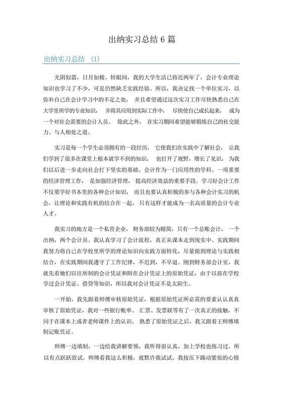 出纳实习总结6篇.docx