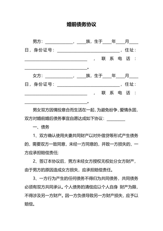 婚前债务协议.docx