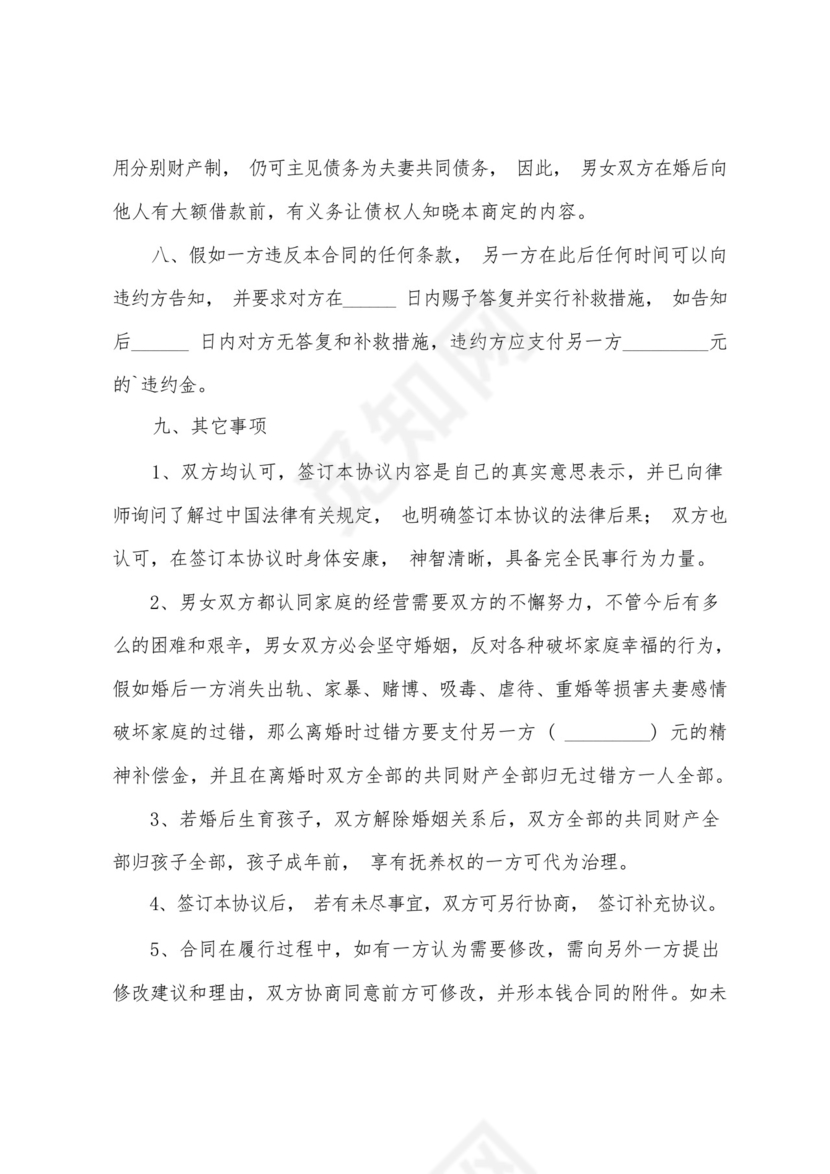 婚前婚后财产协议.docx