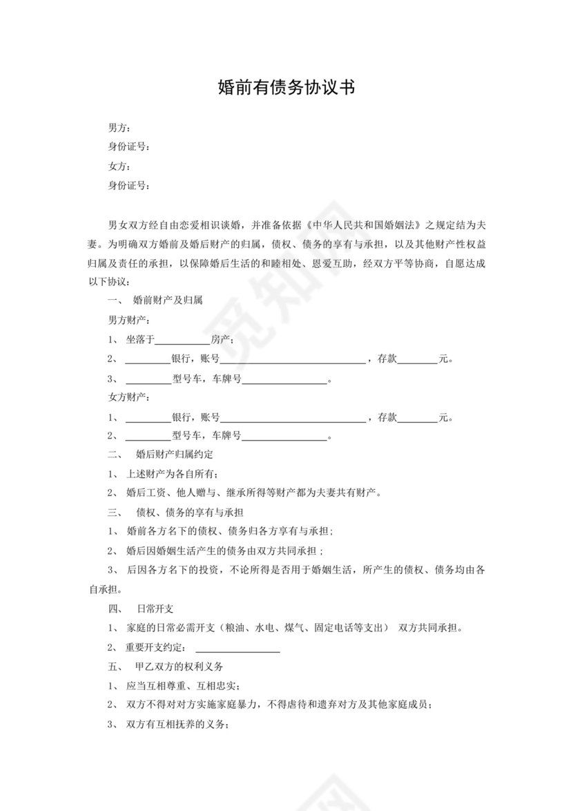 婚前有债务协议书5篇范本.docx