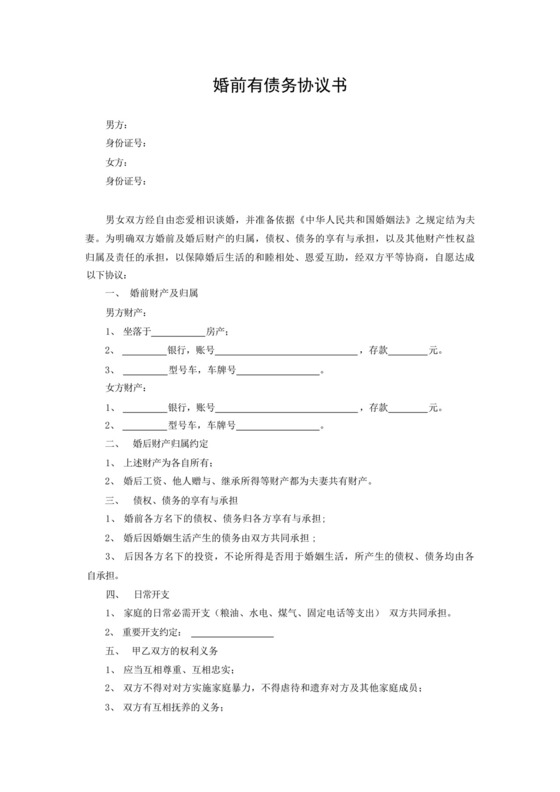 婚前有债务协议书5篇范本.docx