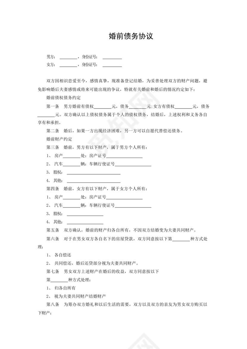 婚前有债务协议书5篇范本.docx