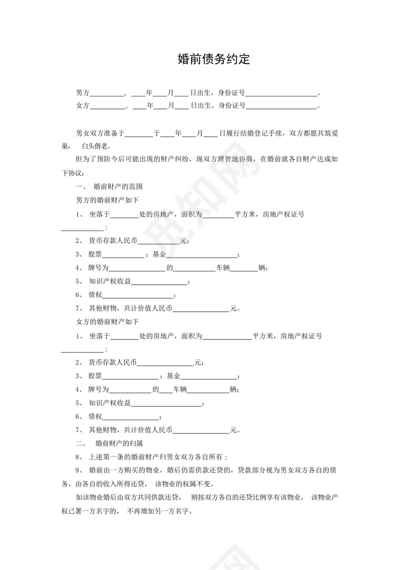 婚前有债务协议书5篇范本.docx