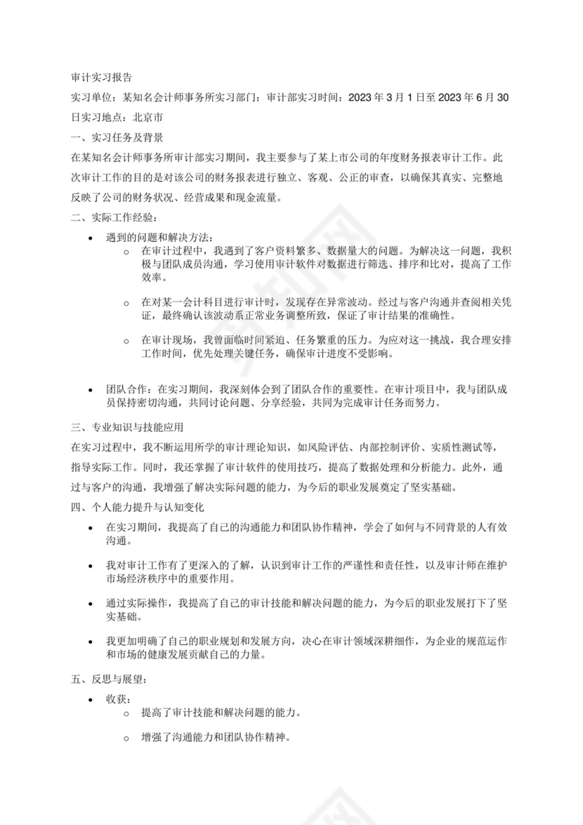 审计实习报告.docx