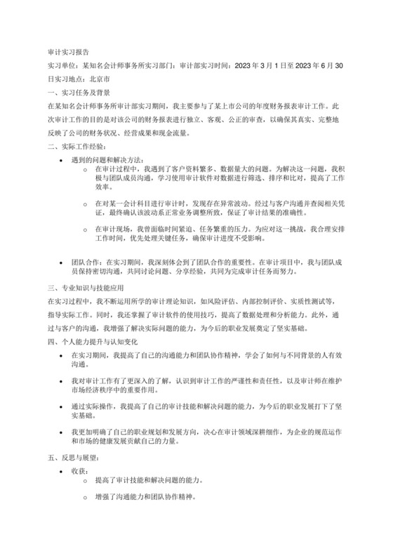审计实习报告.docx