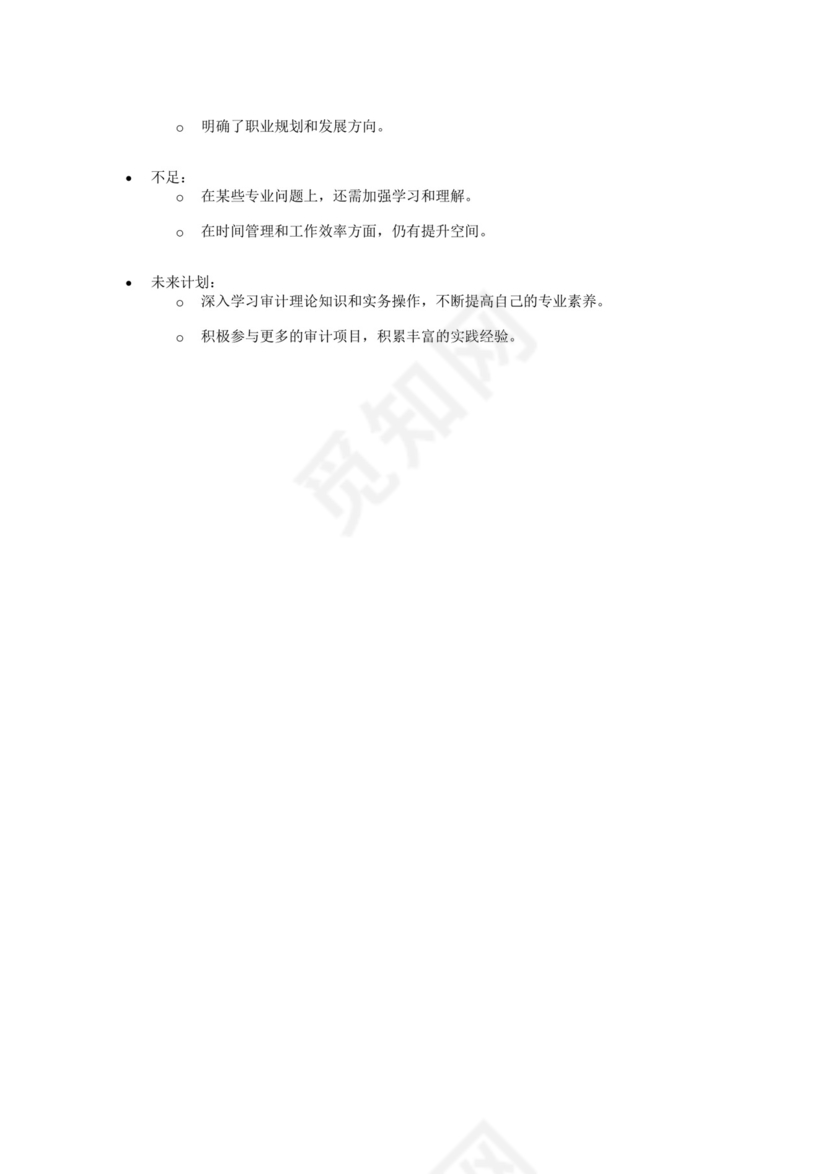 审计实习报告.docx