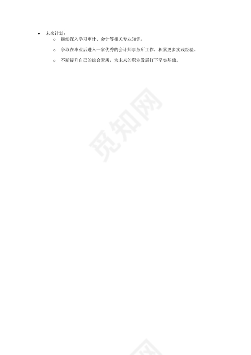 审计实习生实习报告.docx