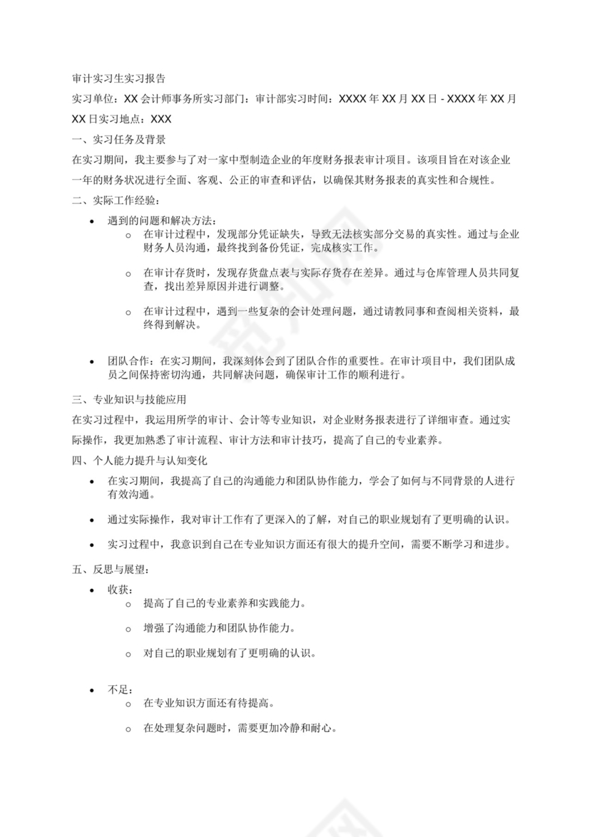 审计实习生实习报告.docx
