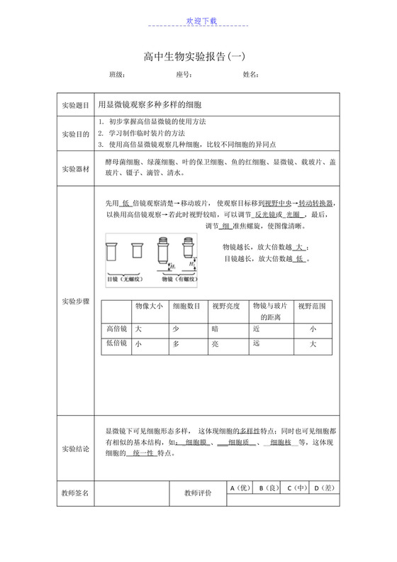 高中生物实验报告.docx