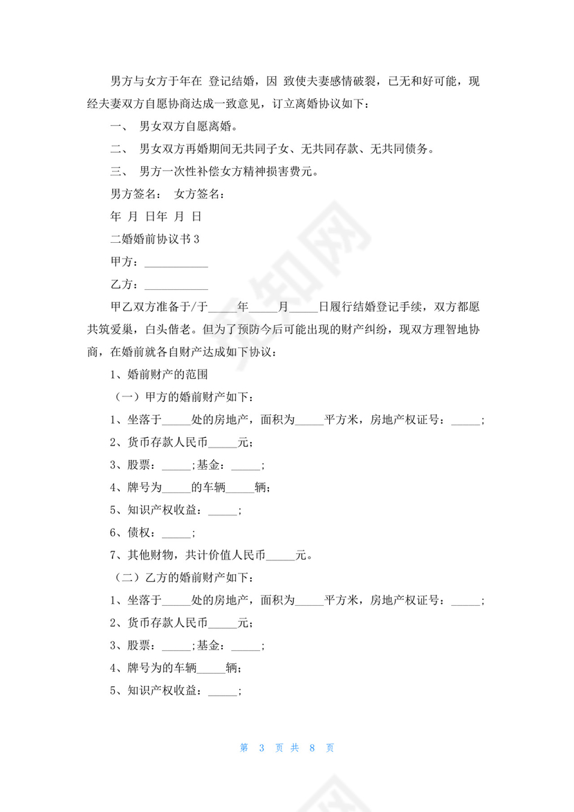 二婚婚前协议书.docx
