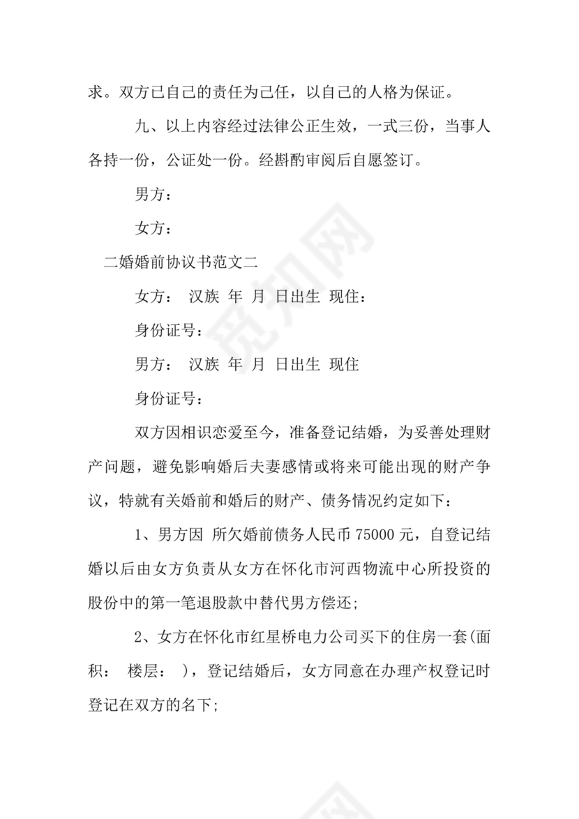 二婚婚前协议书.doc