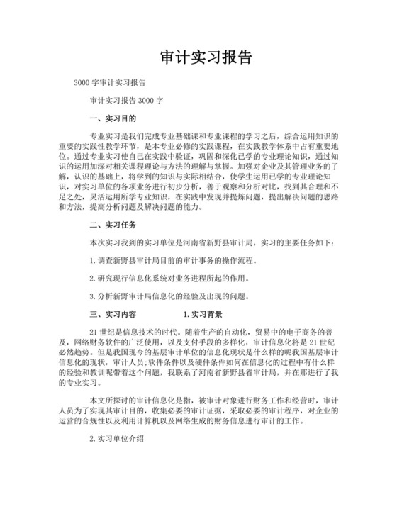 审计实习报告.doc