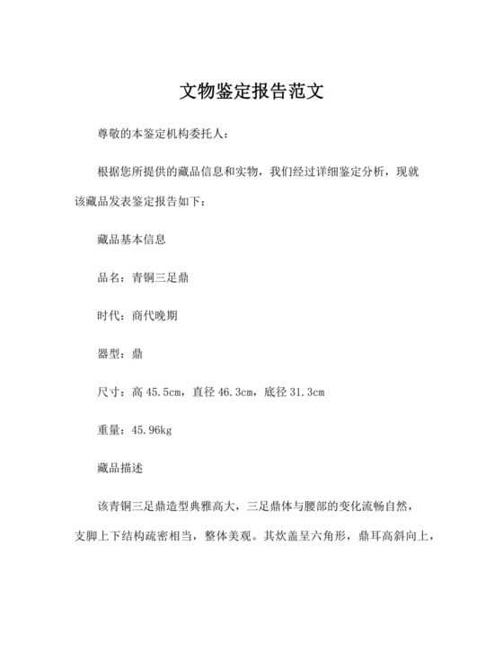 文物鉴定报告范文.docx