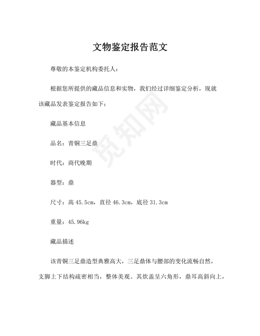 文物鉴定报告范文.docx
