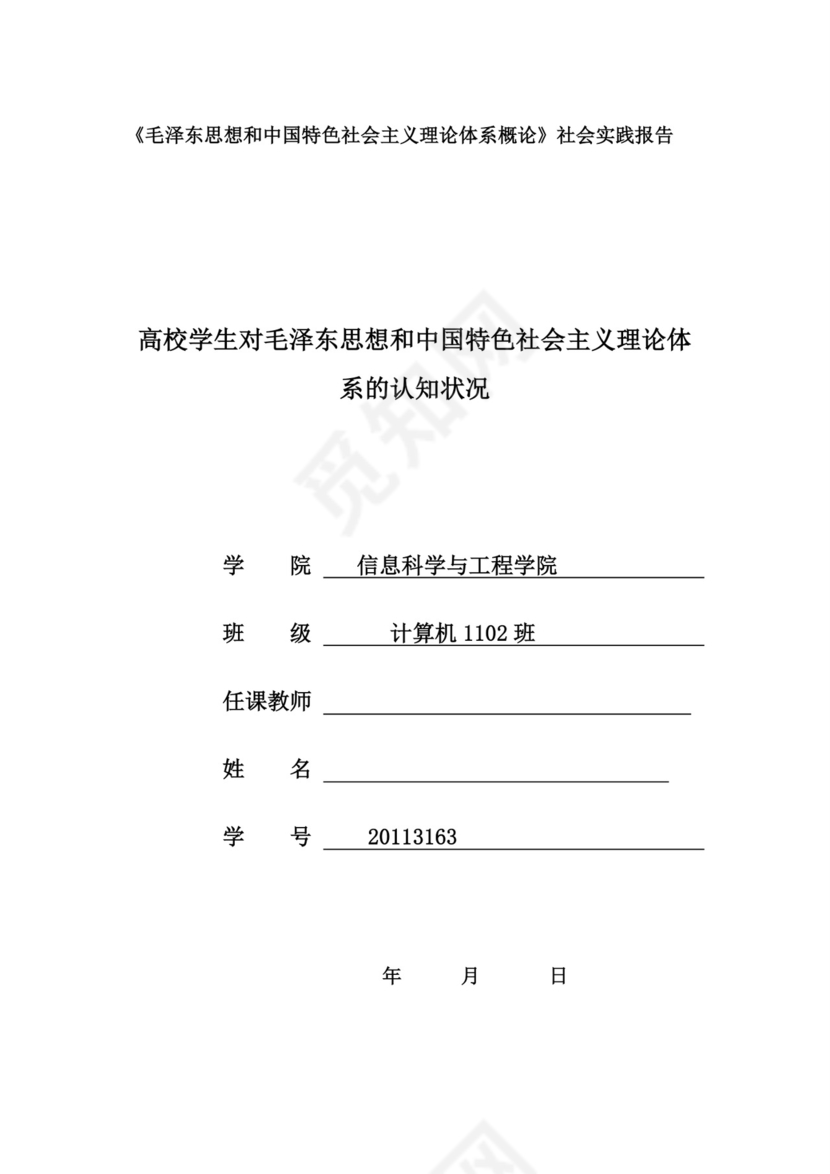 毛概实践报告.doc