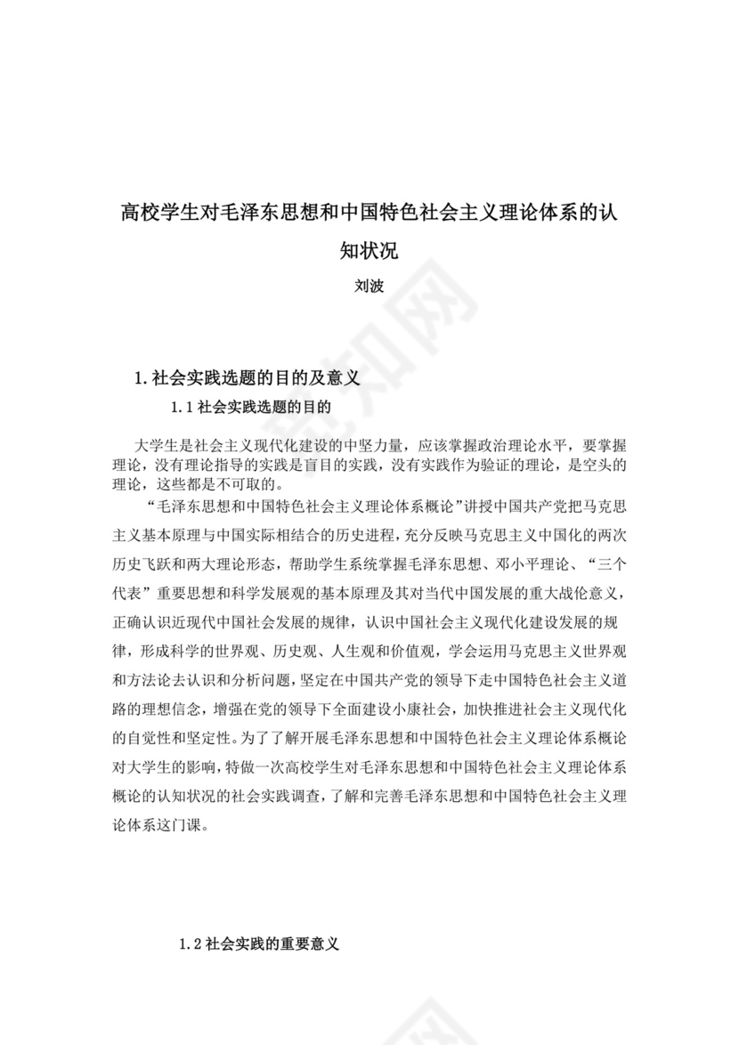 毛概实践报告.doc