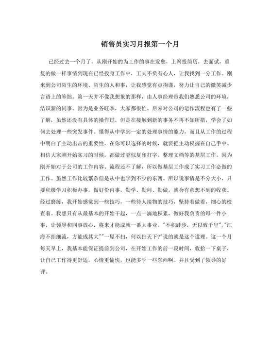 销售员实习月报第一个月.doc