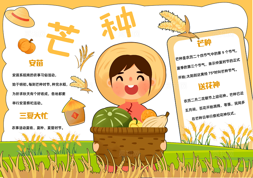 黄色手绘卡通小清新芒种小报手抄报