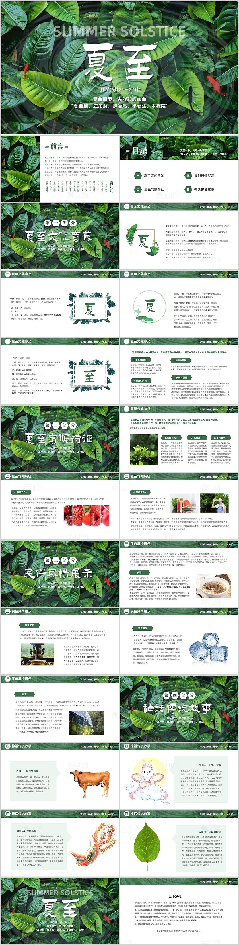 绿色树叶清新中国传统节气之夏至节气介绍PPT