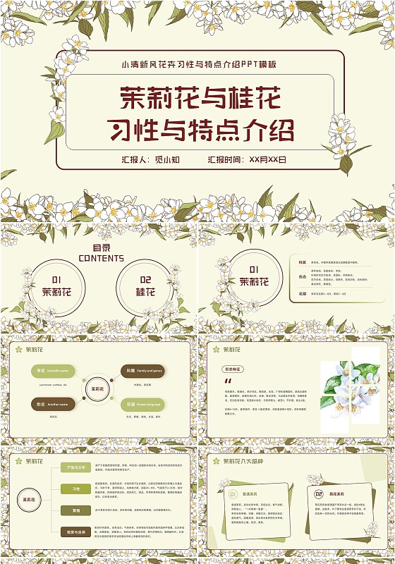 小清新风茉莉花和桂花花卉习性与特点介绍PPT模板