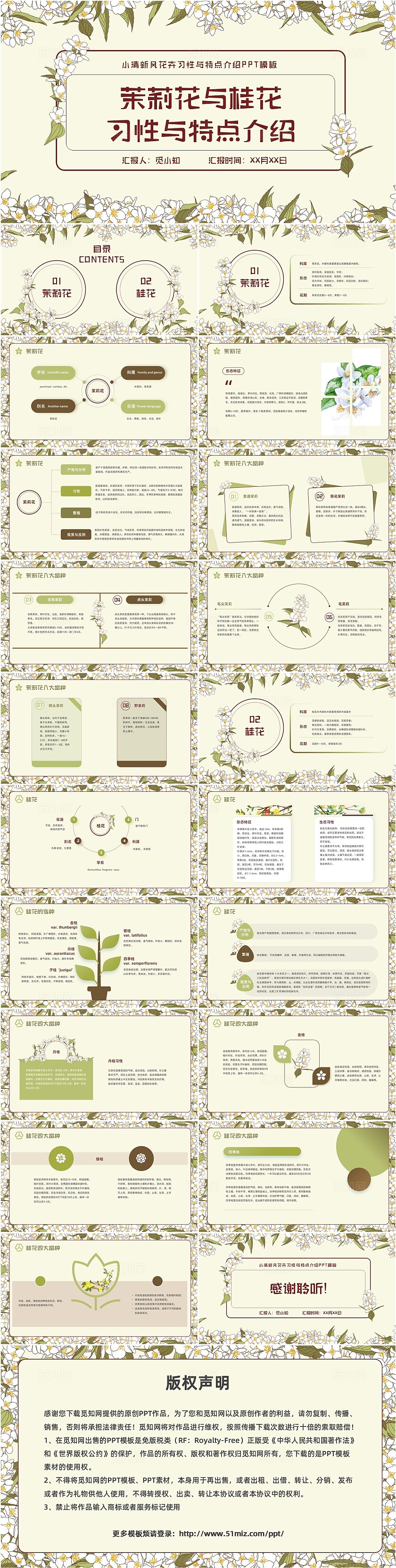 小清新风茉莉花和桂花花卉习性与特点介绍PPT模板