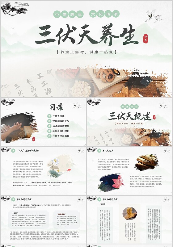 中国水墨风中医养生三伏天养生介绍PPT