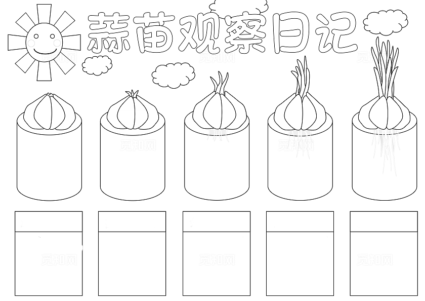 蓝色简约手绘蒜苗植物生长蒜苗观察日记成长日记手抄报
