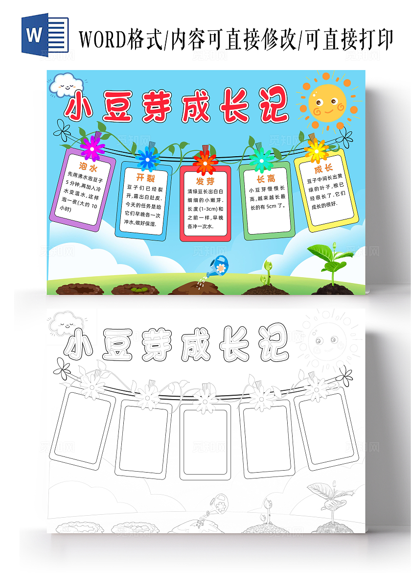 绿色卡通小豆芽成长记小报手抄报小学生手抄报植物