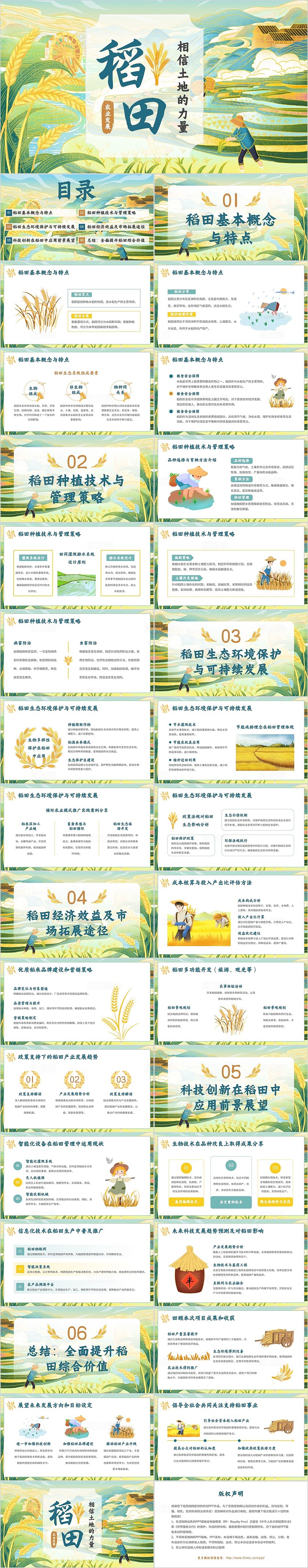 插画风稻田种植科普PPT模板农业